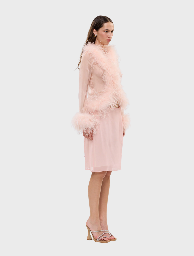 Gigi Sheer Feather Blouse in blush, showcasing a sheer fabric adorned with soft feather embellishments.