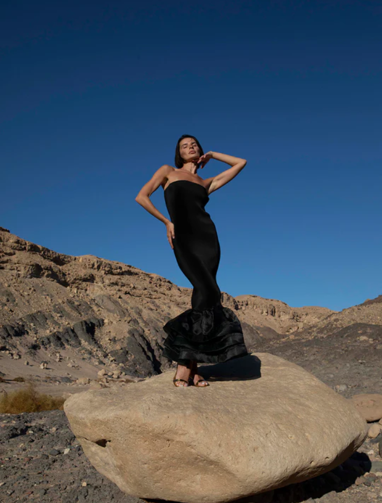 Elegant black Ramblas dress featuring a fitted silhouette and flowing skirt, perfect for formal occasions.