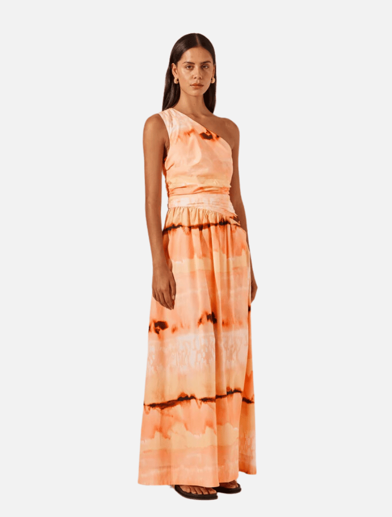 Clothing Larissa Asymmetrical Gathered Maxi Dress - Peach/Multi