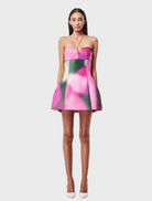 Clothing Blurred Mini Dress - Print