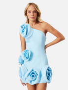 Dresses Destiny Mini Dress - Ice Blue