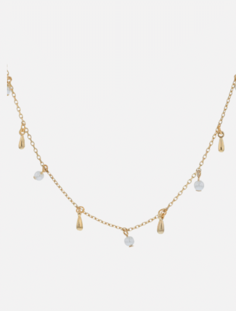 Cassandra Necklace - Gold | Accessories | Accessories, brand-JOLIE AND DEEN, chain necklace, Necklace, Necklaces, price-Under $50, shell necklace | Jolie and Deen