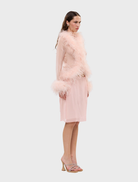 Gigi Sheer Feather Blouse in blush, showcasing a sheer fabric adorned with soft feather embellishments.