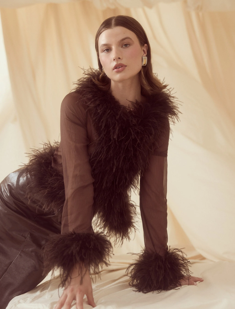Elegant chocolate sheer blouse adorned with feather accents, perfect for adding a touch of sophistication to any outfit.