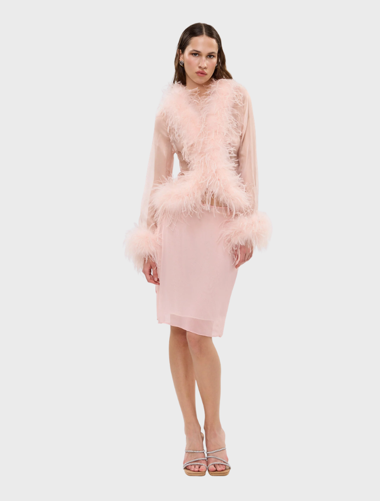 Blush Gigi Sheer Feather Blouse featuring delicate feather details and a lightweight, airy design.