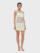 Poetry Lace Mini Dress in lemonade, showcasing a fitted bodice, sheer lace overlay, and a flared skirt with side closure.