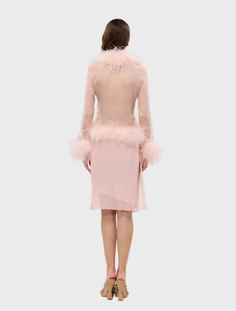 Blush Gigi Sheer Feather Blouse, designed with a lightweight fabric and delicate feather details for a chic appearance.